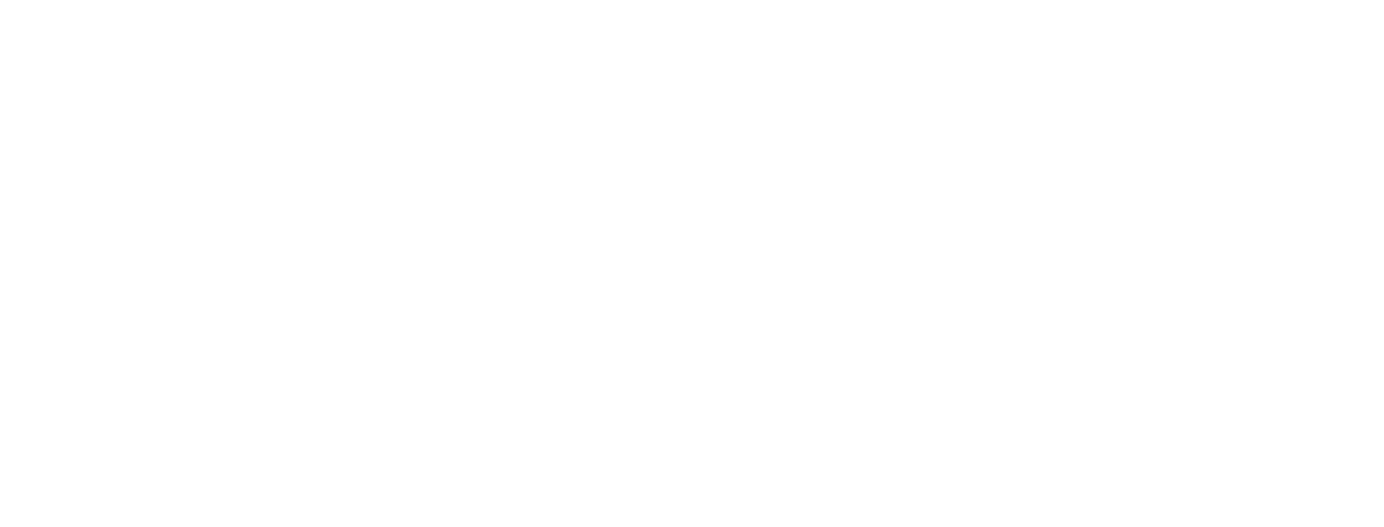 DW Solutions